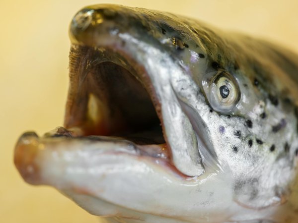 Quels sont les coûts liés au maintien à domicile et comment les financer ?